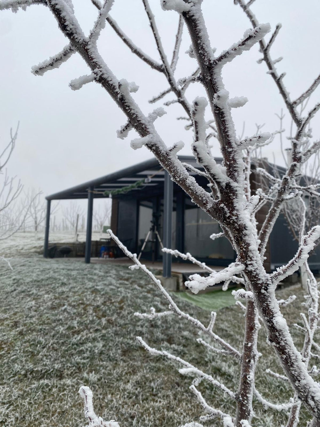 mezimerunkami dobré ráno z čejkovic