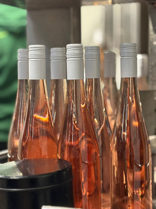 Jak rozpoznat kvalitu vína: Rady pro začátečníky