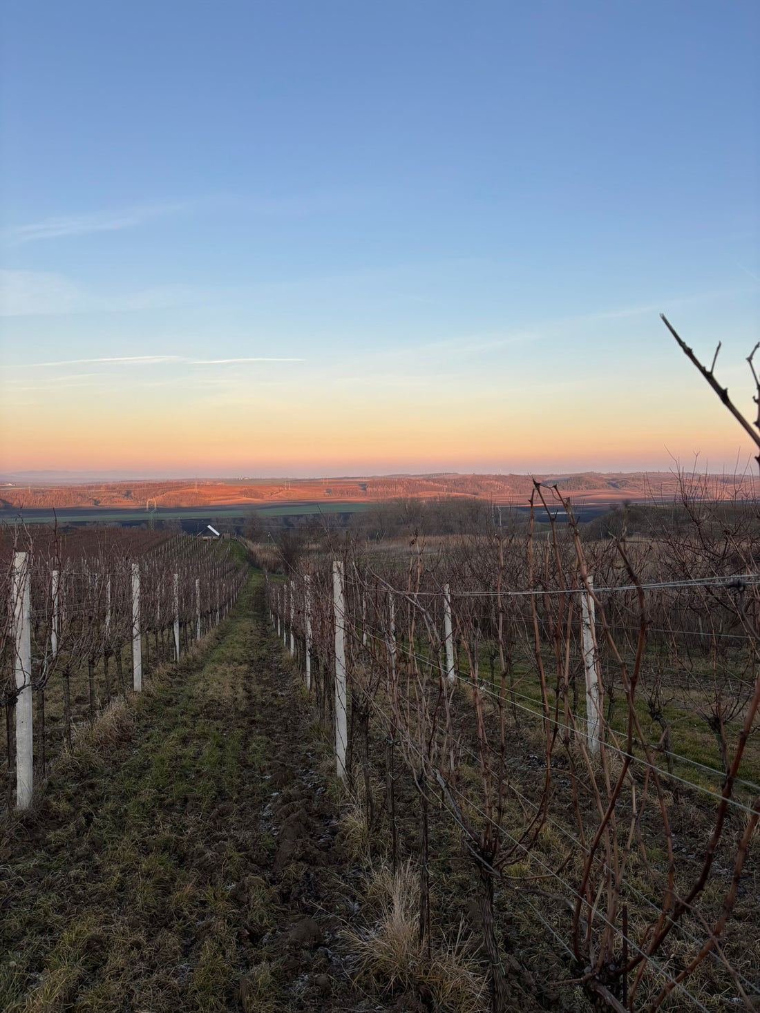 Ohlédnutí za rokem 2024 a přání do roku 2025