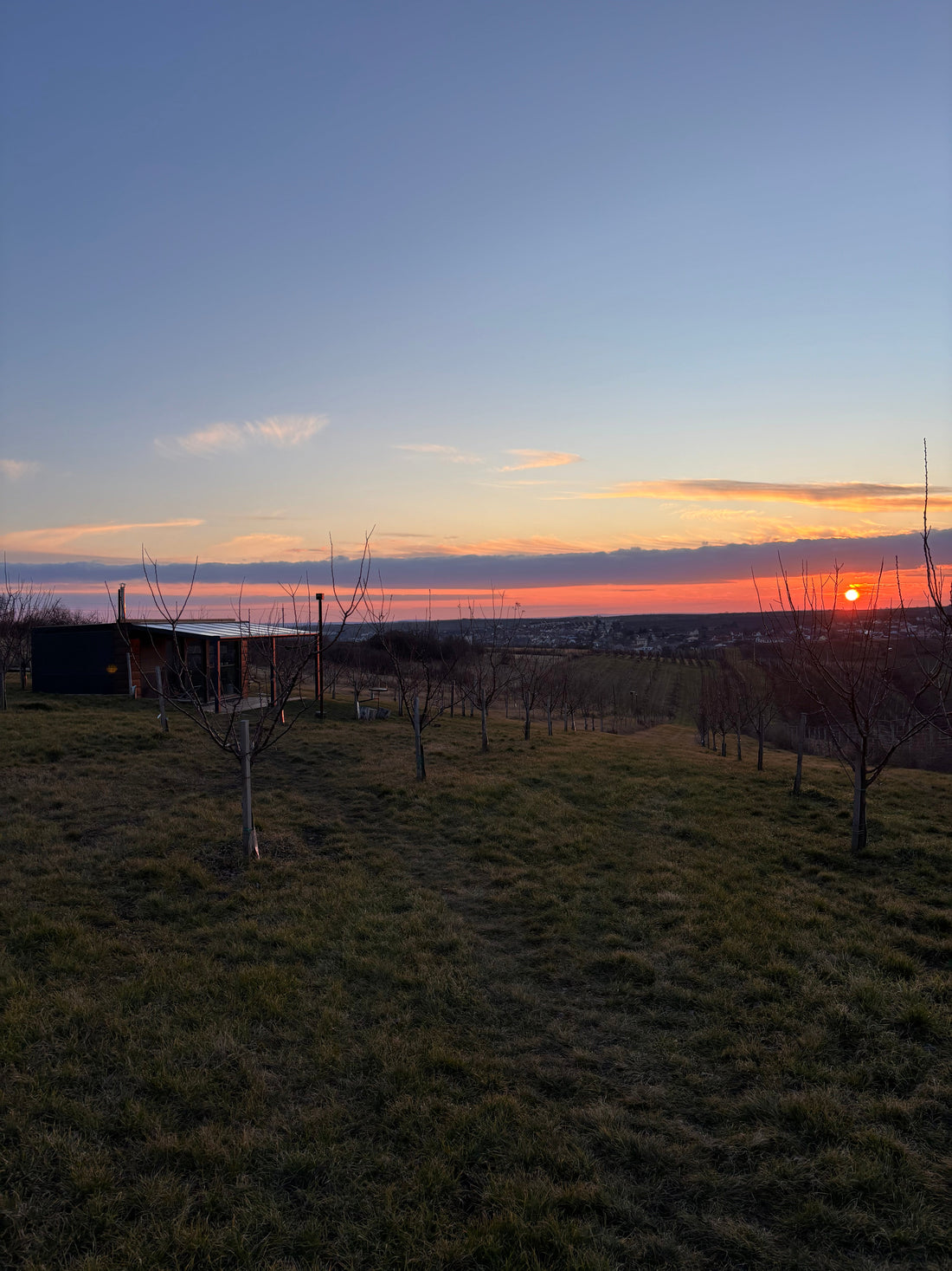 Glamping Mezi Meruňkami