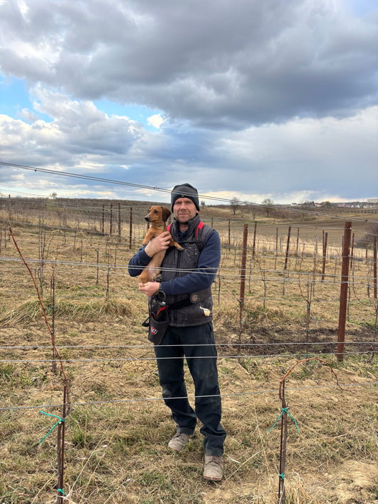 Vážeme Pálavu s i naším parťákem