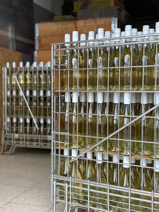 Frizzante Muškát moravský 2024 - Vinařství Příroda