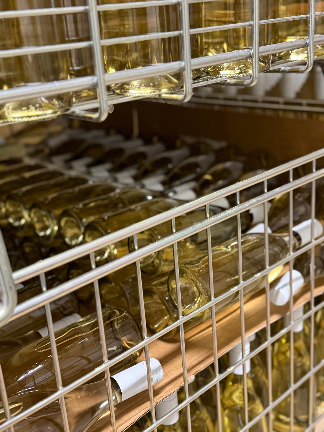 Frizzante Muškát moravský 2025 je nalahvovaný!